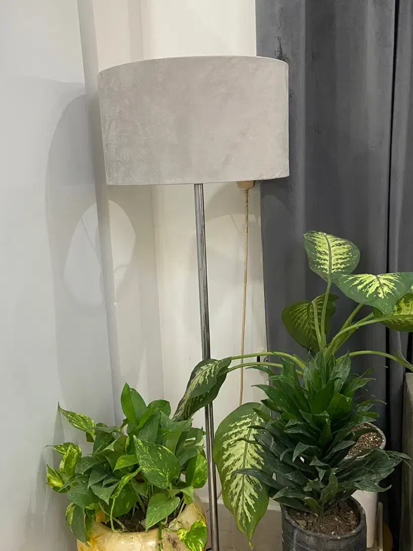 آباژور و لوستر و تابلو و دکور و گلدان|لوستر و چراغ آویز|بندر کنگان, |دیوار