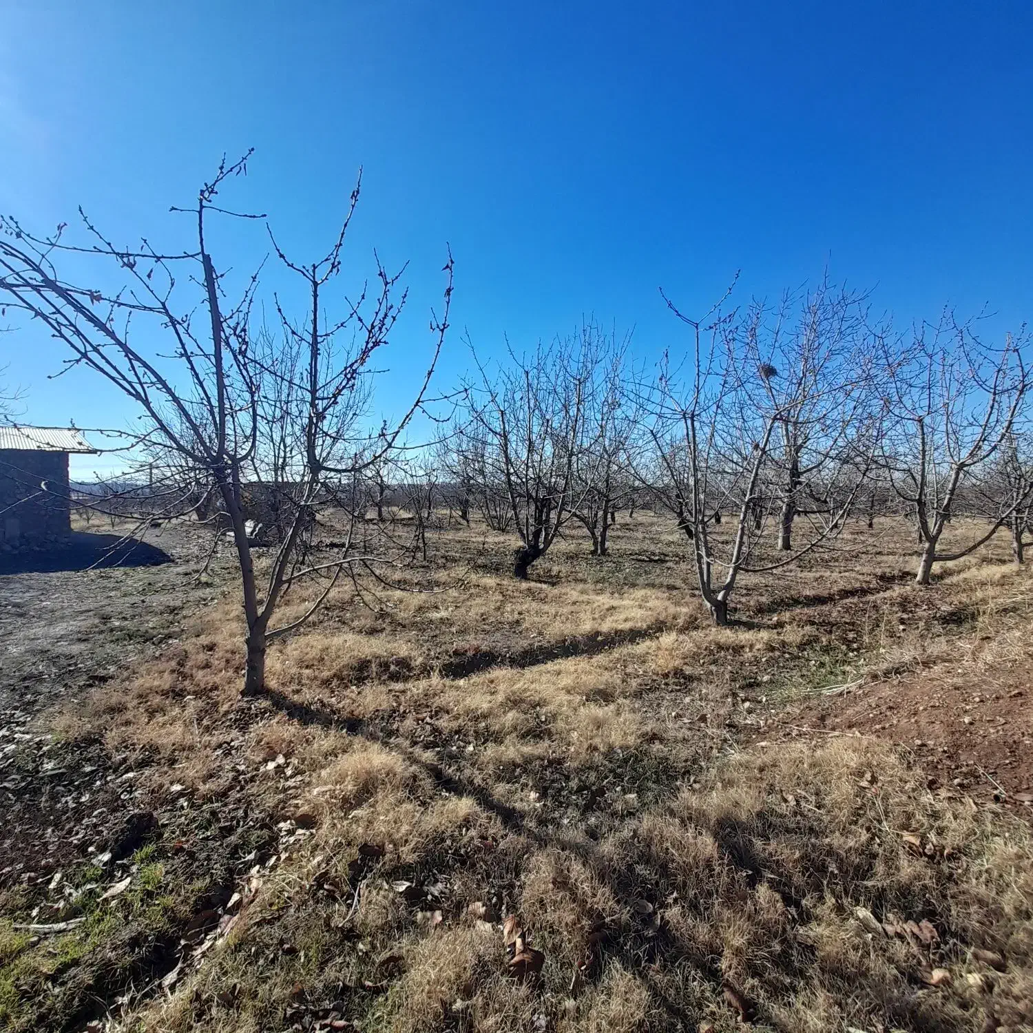 زمین باغ ویلا در بهترین لوکیشن فشند|فروش زمین و ملک کلنگی|هشتگرد, فشند|دیوار