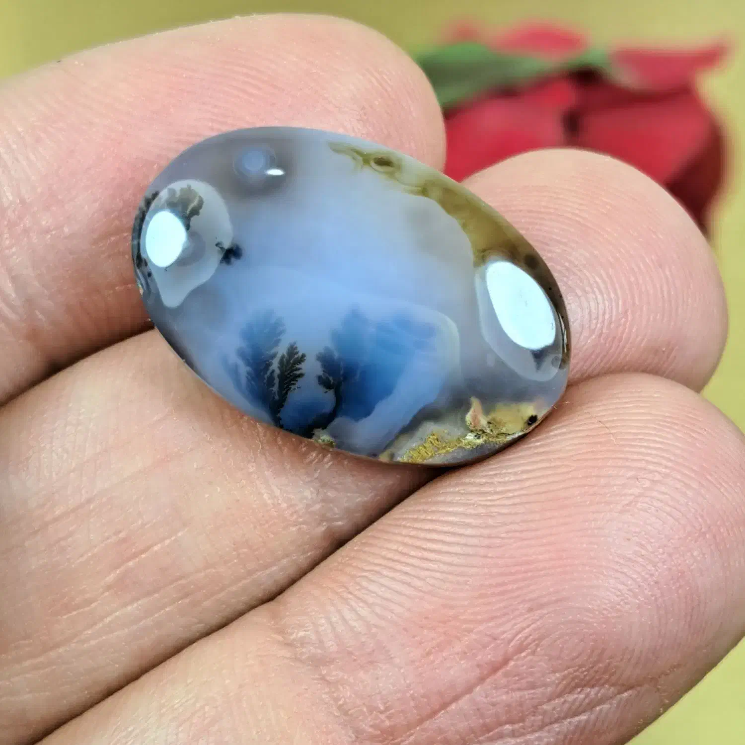 شجر های خاص|جواهرات|میاندوآب, |دیوار