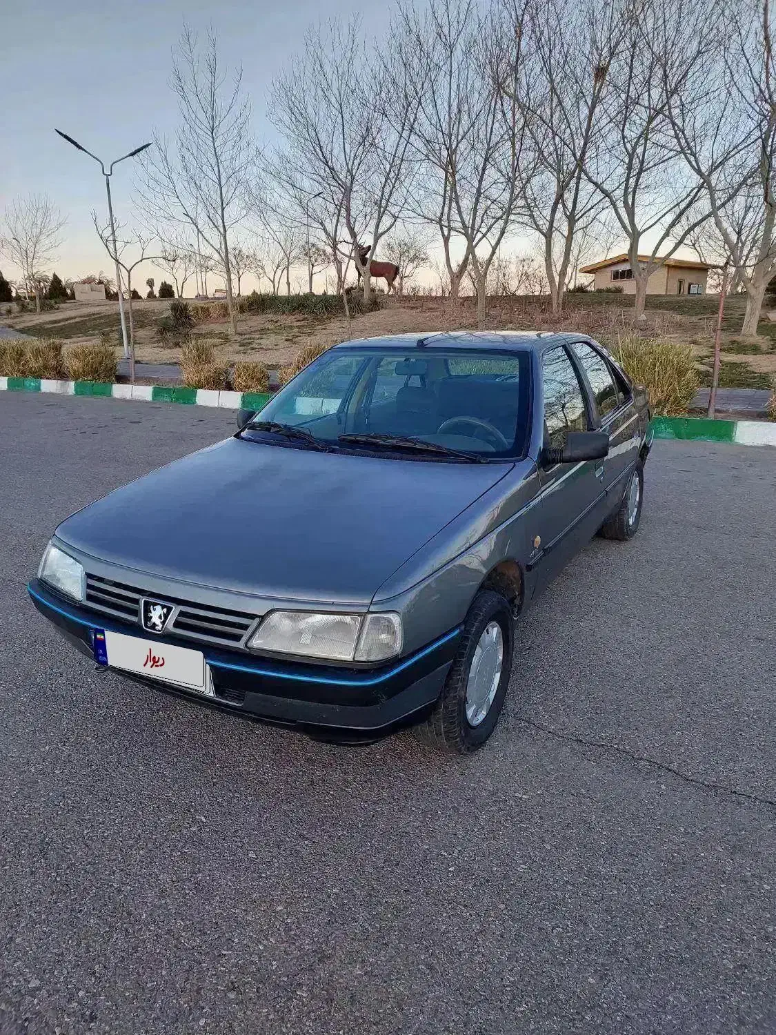 پژو ۴۰۵ مدل ۹۰ دوگانه سوز|خودرو سواری و وانت|ساوه, |دیوار