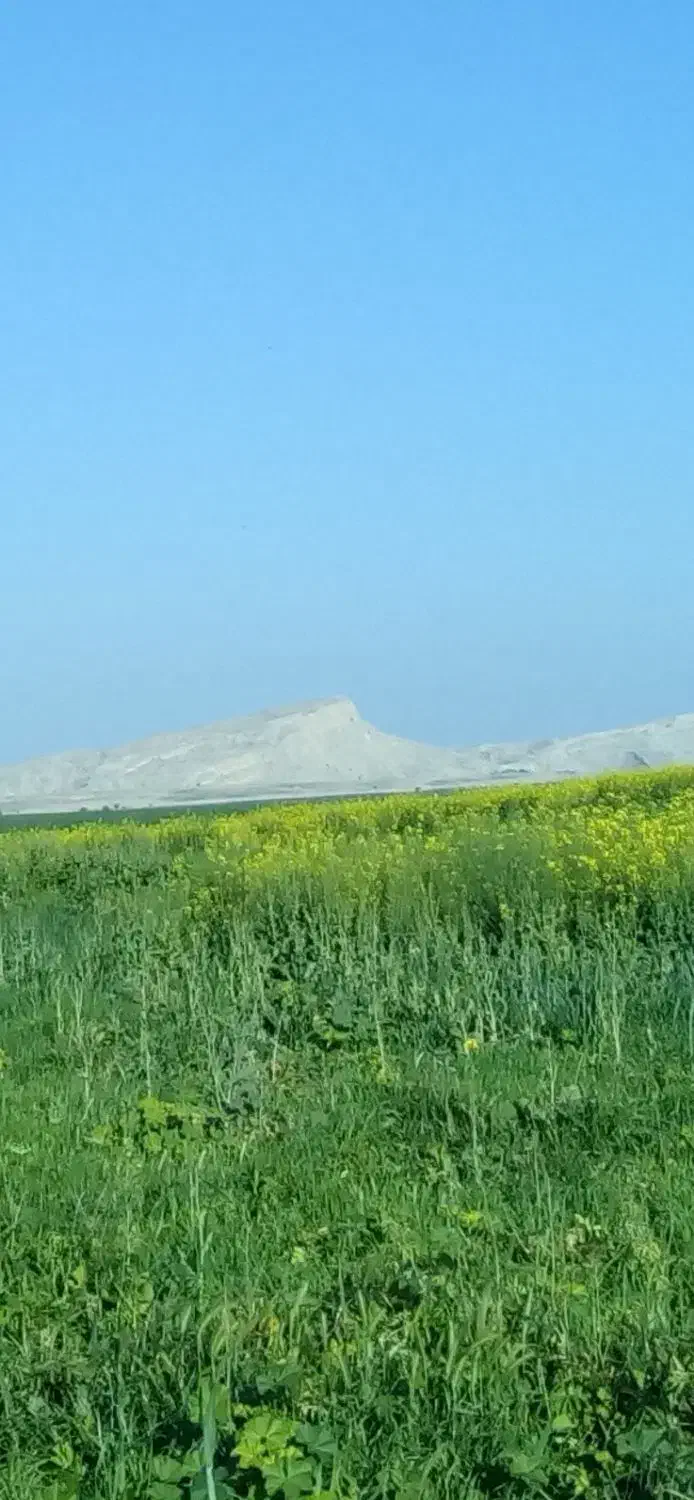 منزل ویلایی اجاره ای|اجارهٔ خانه و ویلا|شیراز, شهدای شهرک سعدی|دیوار