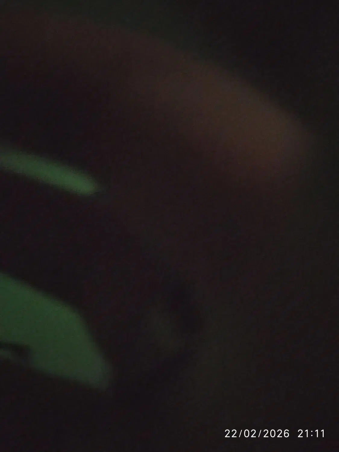 گوشی نوت8|موبایل|تربت جام, میان جام|دیوار