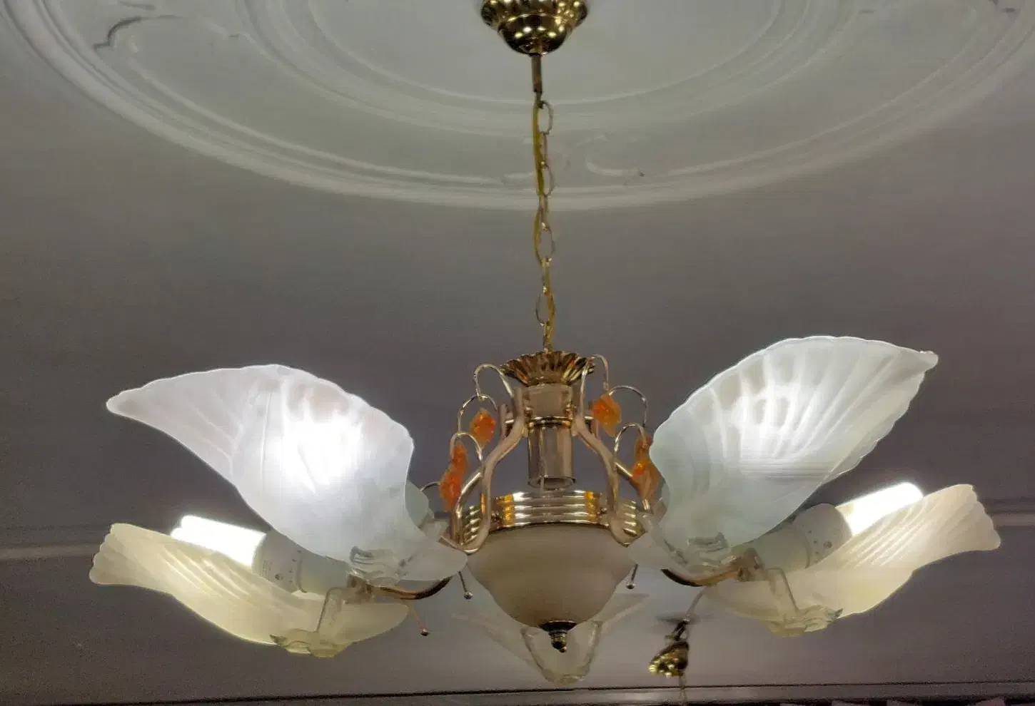 ۳ عدد لوستر ۵ شاخه|لوستر و چراغ آویز|بهارستان, |دیوار