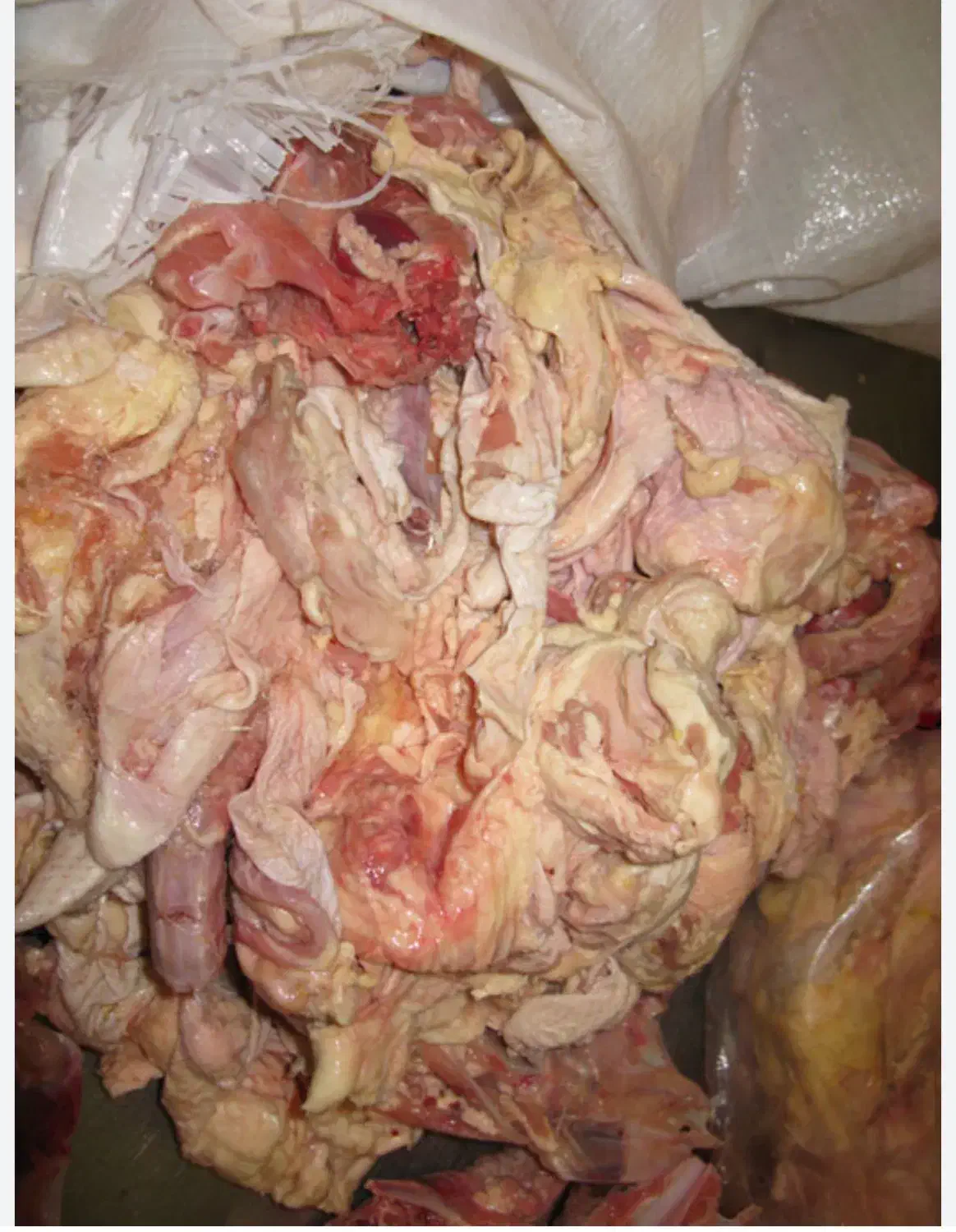 پوست مرغ|خوردنی و آشامیدنی|ری, علایین|دیوار