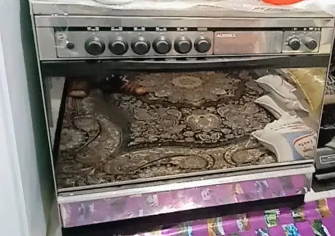 گاز فر ۵شعله|اجاق گاز و لوازم برقی پختوپز|تهران, مسعودیه|دیوار