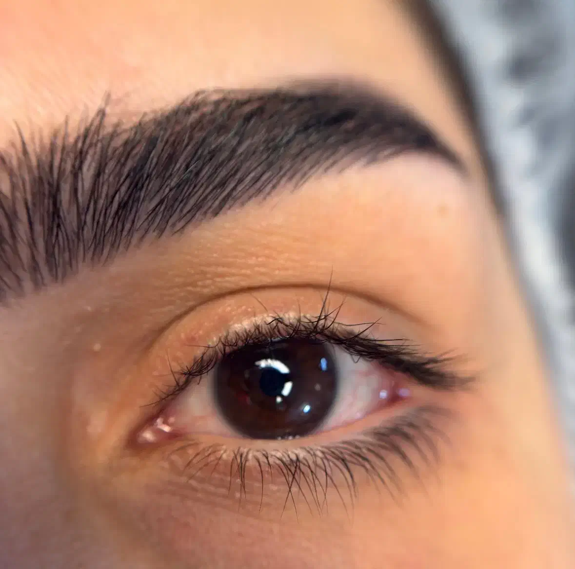 آموزش حرفه ای و صفرتا صد لیفت و لمینت مژه وابرو|خدمات آموزشی|امیدیه, |دیوار