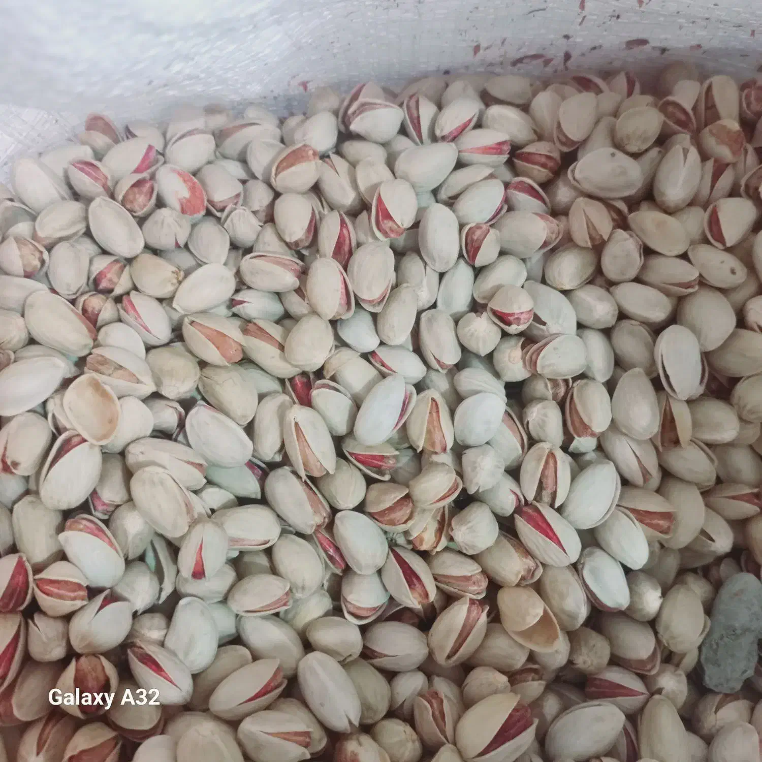 پسته احمد آقایی خندون|خوردنی و آشامیدنی|سروستان, |دیوار