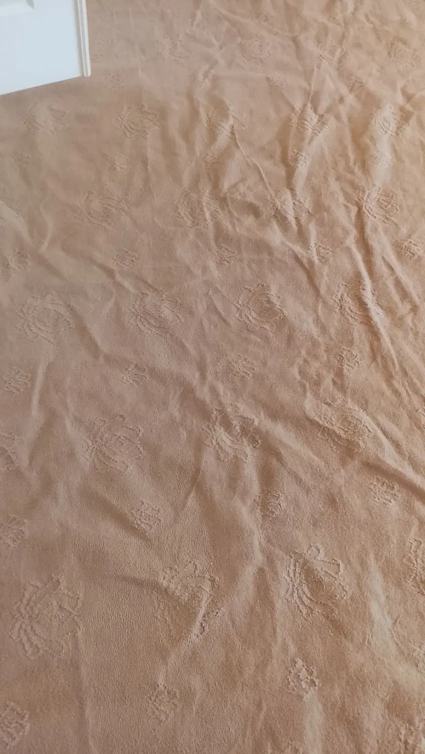 موکت|موکت|زنجان, |دیوار