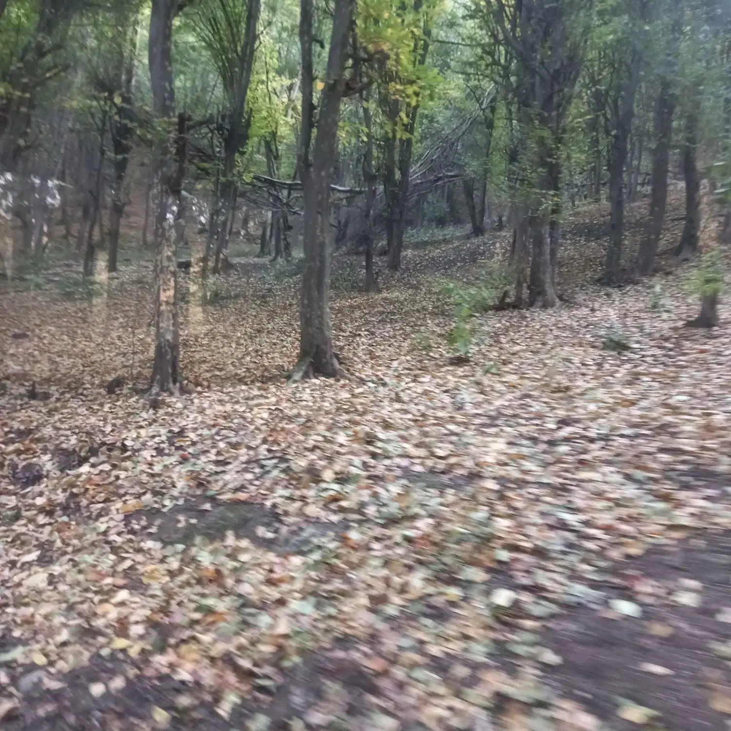 یک زوج برای سرایداری|استخدام سرایداری و نظافت|رستم‌آباد, |دیوار