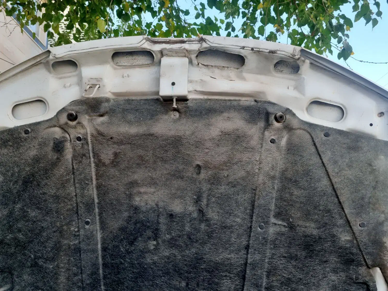 پژو پارس tu5 مدل ۴۰۲|خودرو سواری و وانت|بجنورد, |دیوار