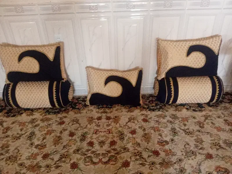 ۱۰ تا روبالشی ۱۰تا رو پشتی|رختخواب، بالش، پتو|یاسوج, |دیوار