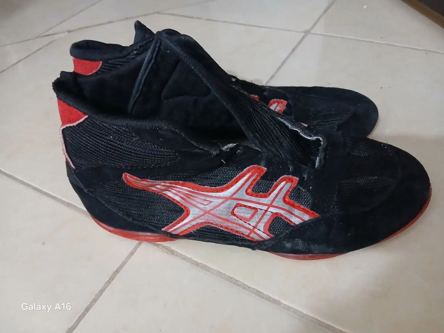 کفش کشتی|کیف، کفش، کمربند|بیرجند, |دیوار