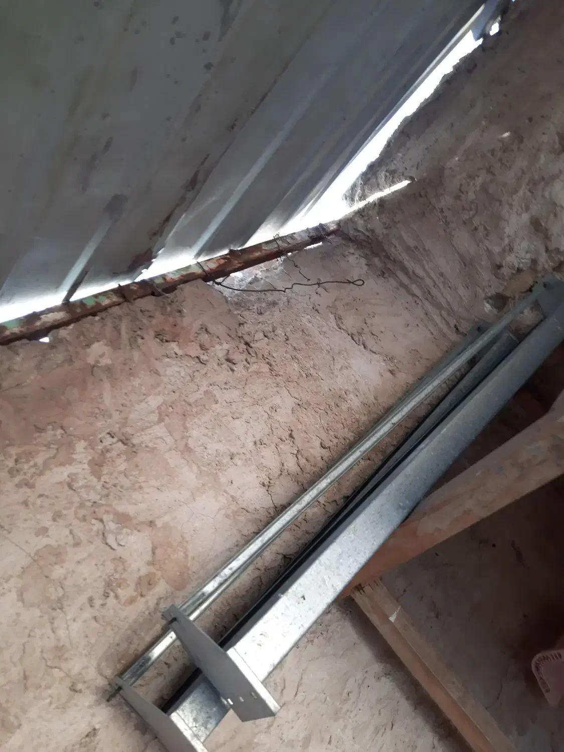 به شرط سالم بودن میفروشم|لوازم جانبی حیوانات|قم, کیوانفر|دیوار