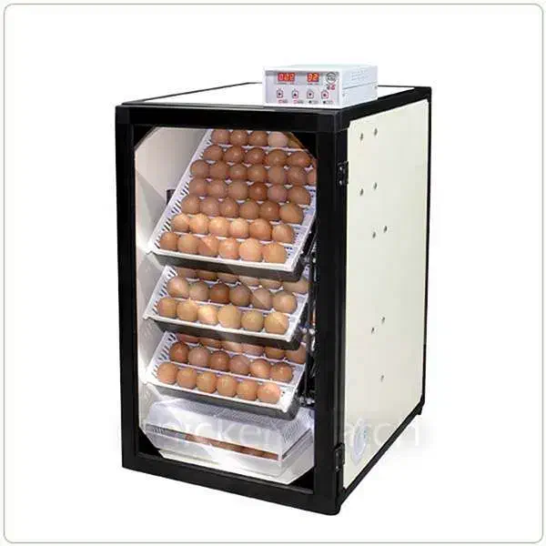 دستگاه جوجه کشی اسکندری 168 تایی|ماشینآلات صنعتی|تیران, |دیوار