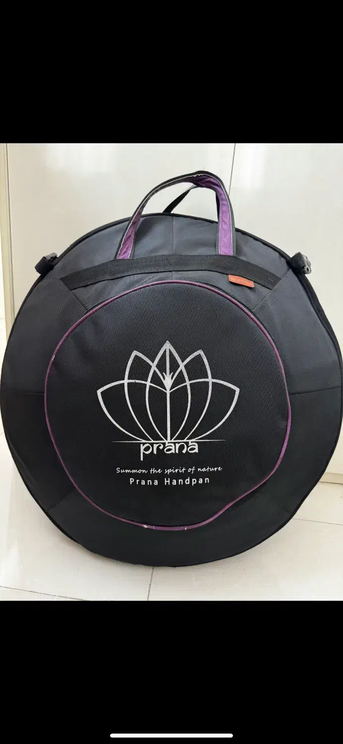 هنگدرام پرانا سالم و کوک|درام و پرکاشن|اصفهان, باغ نگاره|دیوار