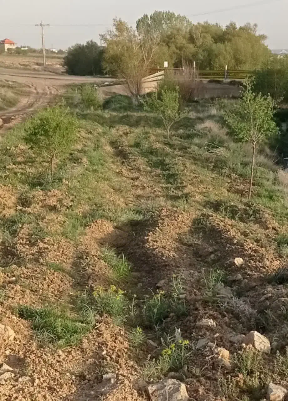 فروش زمین کشاورزی|فروش زمین و ملک کلنگی|ایجرود, |دیوار