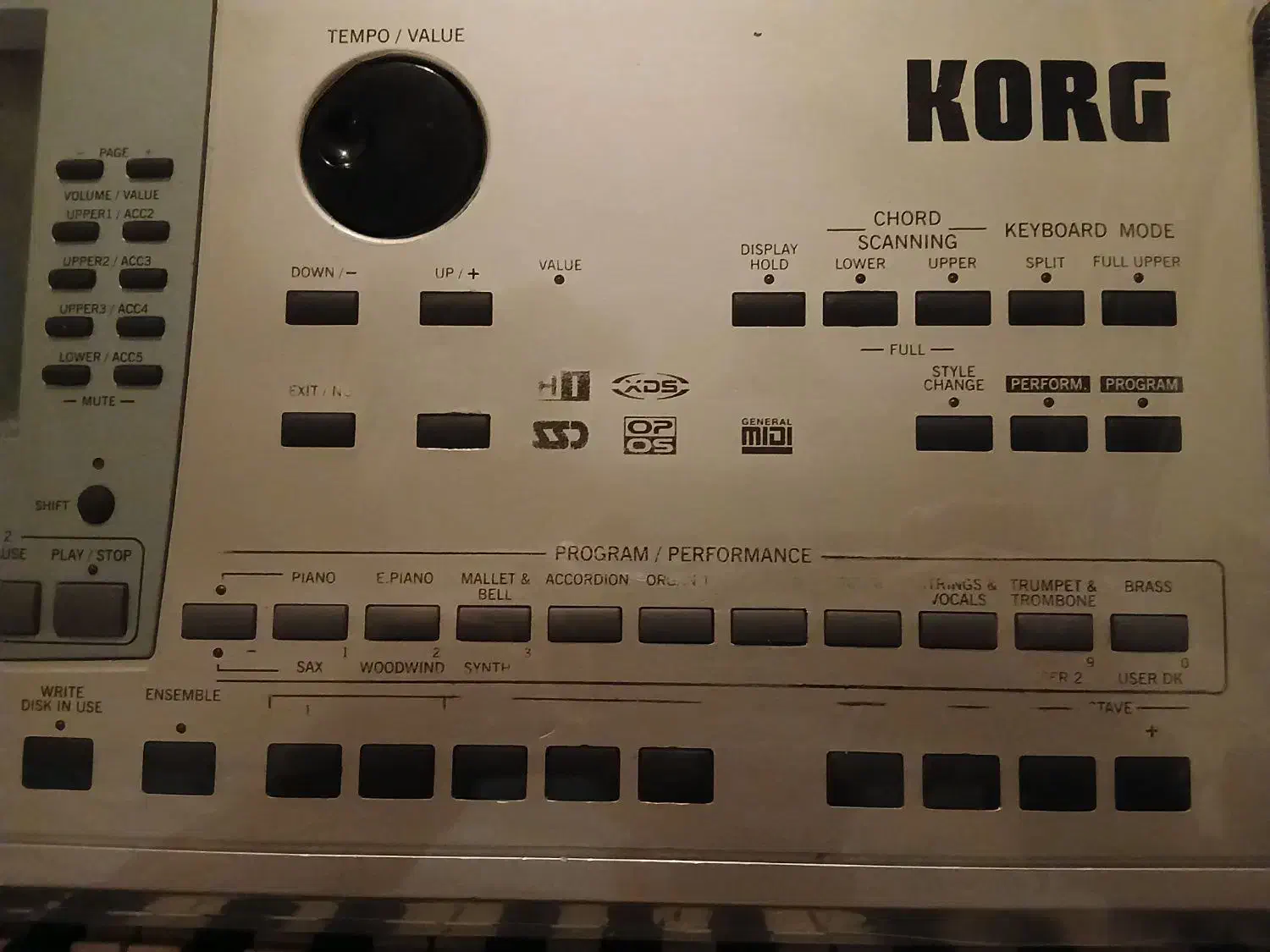 ارگ pa50 دوازده یوزره|پیانو، کیبورد، آکاردئون|تبریز, |دیوار