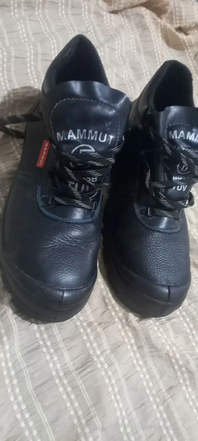 پوتین شرکتی|کیف، کفش، کمربند|مسجد سلیمان, |دیوار