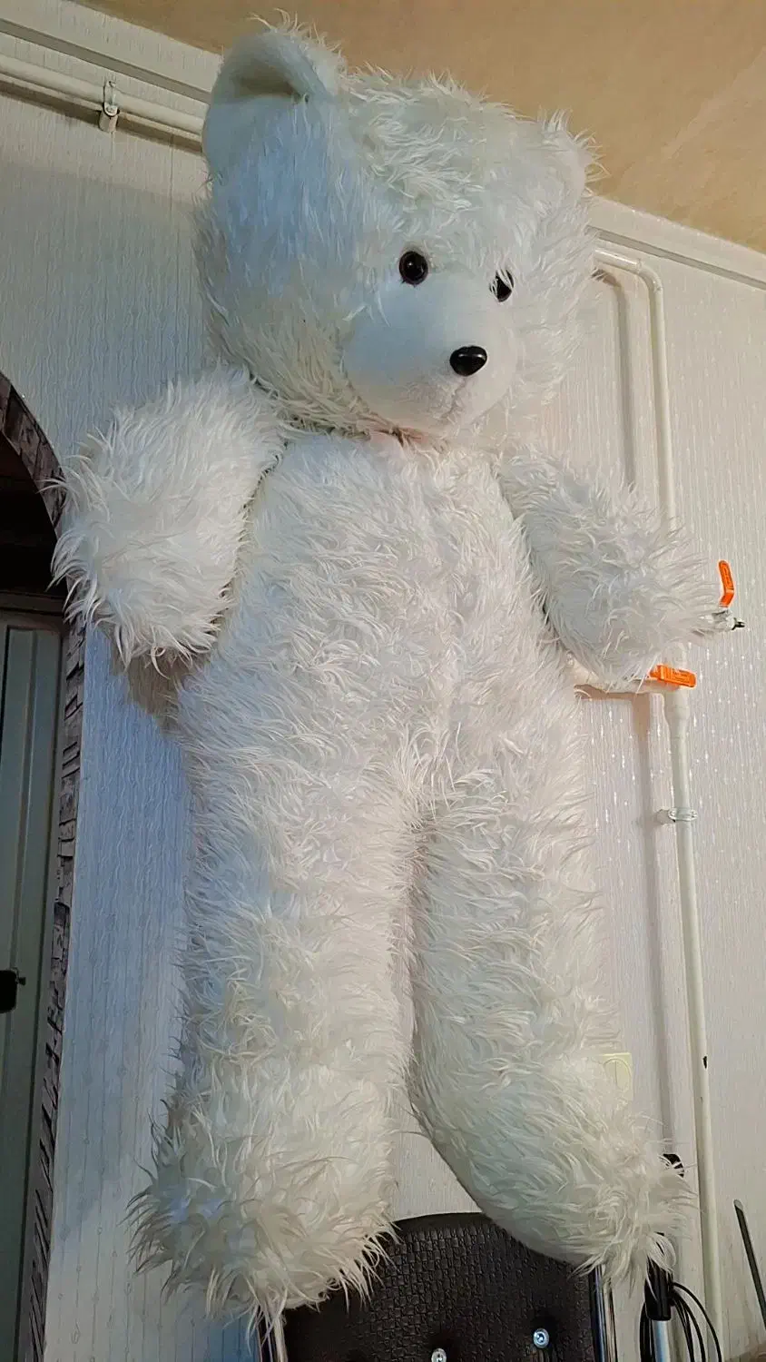 عروسک خرسی بزرگ|اسباب‌بازی بچه|تبریز, |دیوار