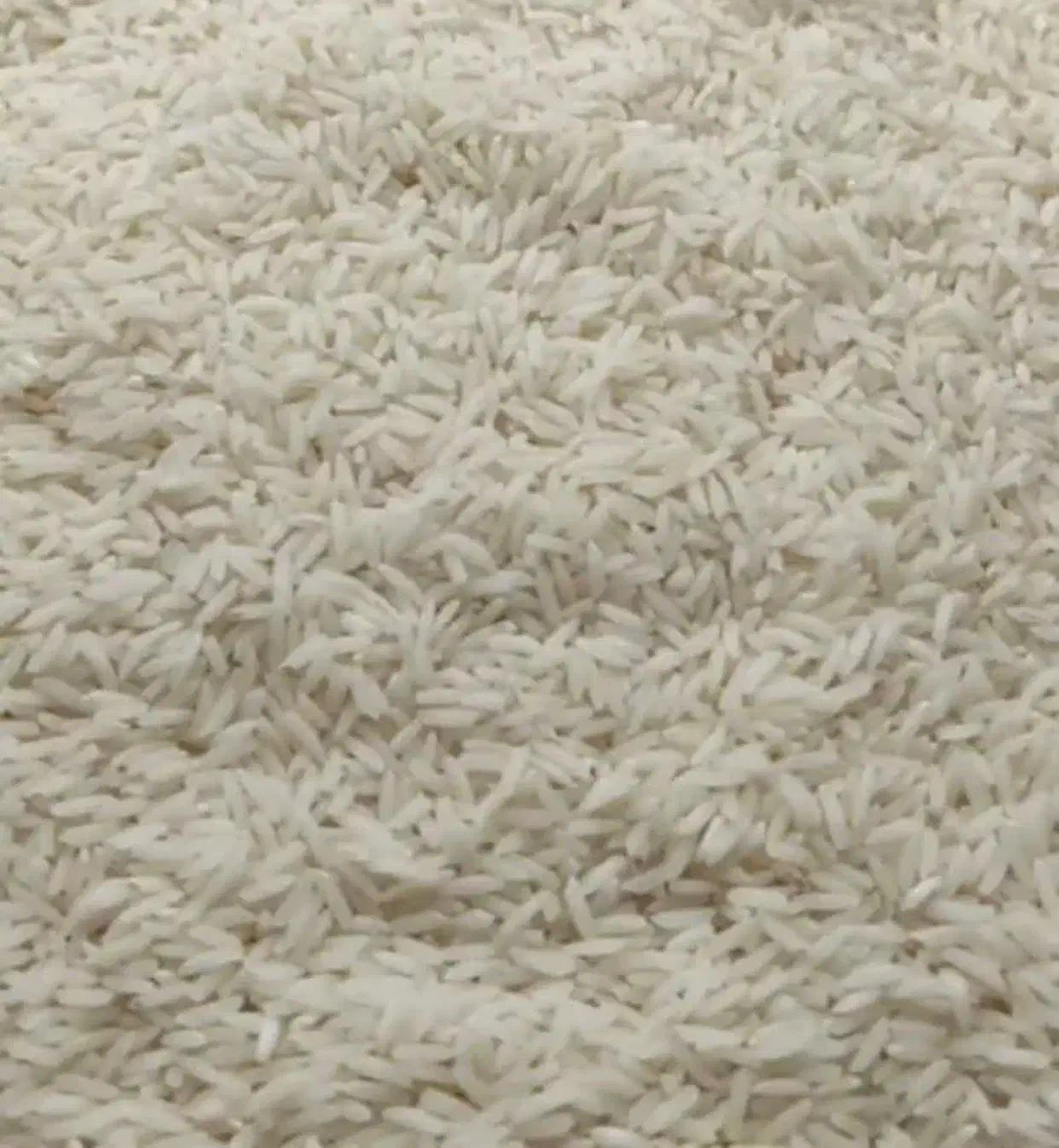 برنج|خوردنی و آشامیدنی|قم, شهرک فاطمیه|دیوار