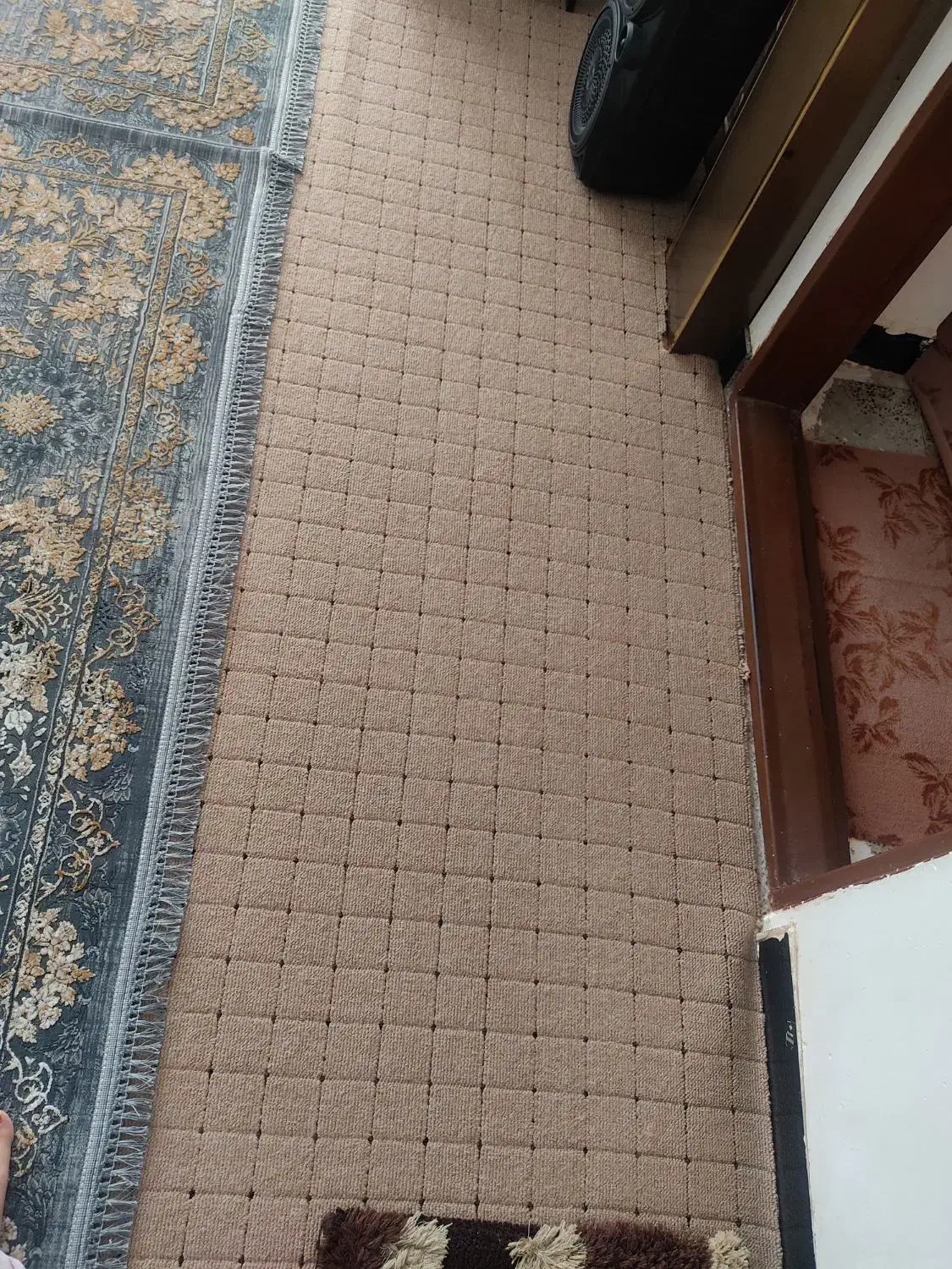 پالاز موکت|موکت|ایلام, |دیوار