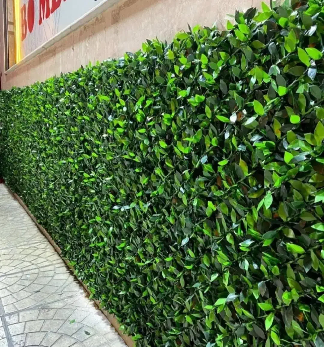 فنس چمنی|خدمات باغبانی و درختکاری|کامیاران, |دیوار