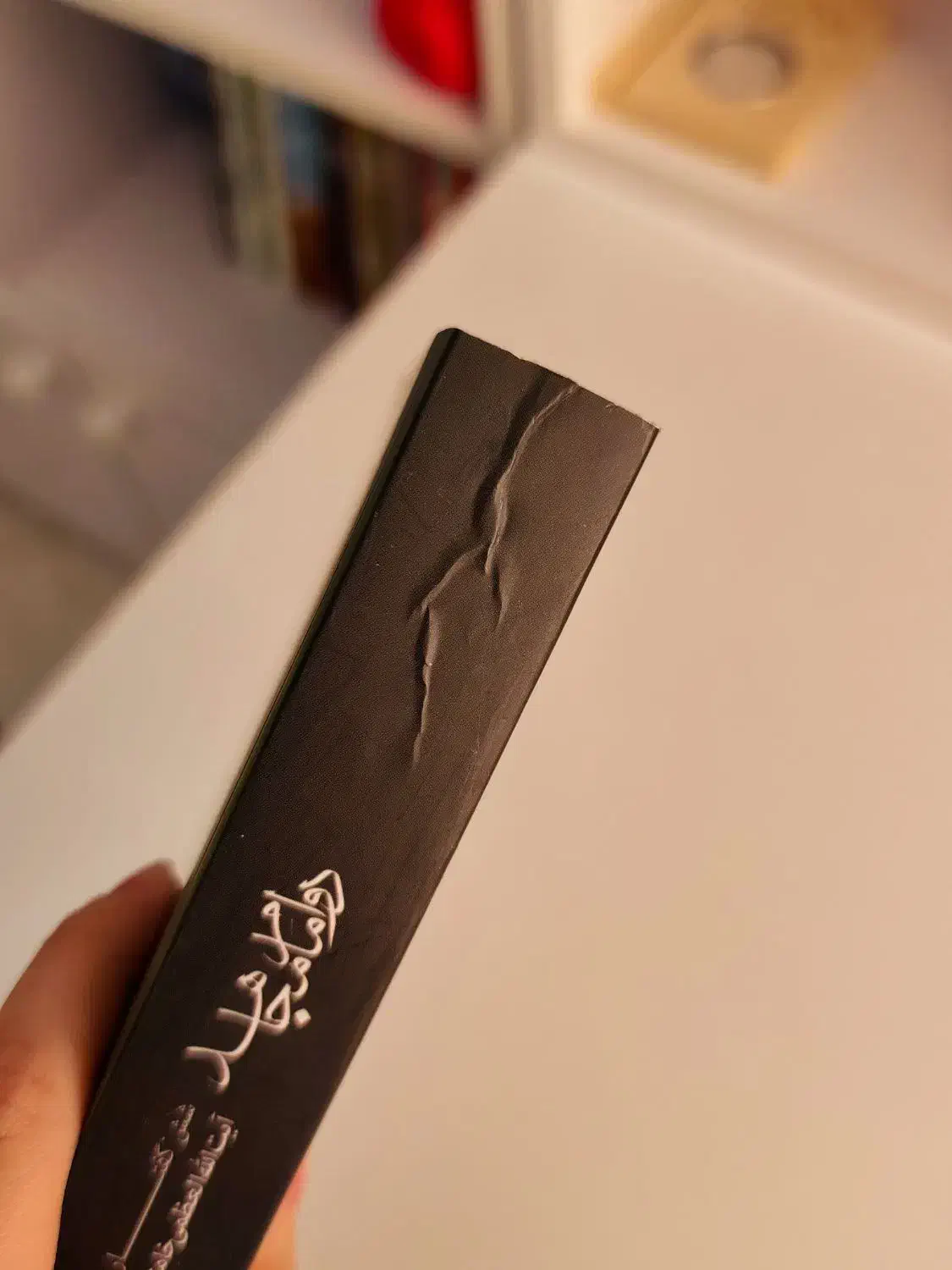 کتاب دو امام مجاهد|کتاب و مجله مذهبی|ری, شهرری|دیوار