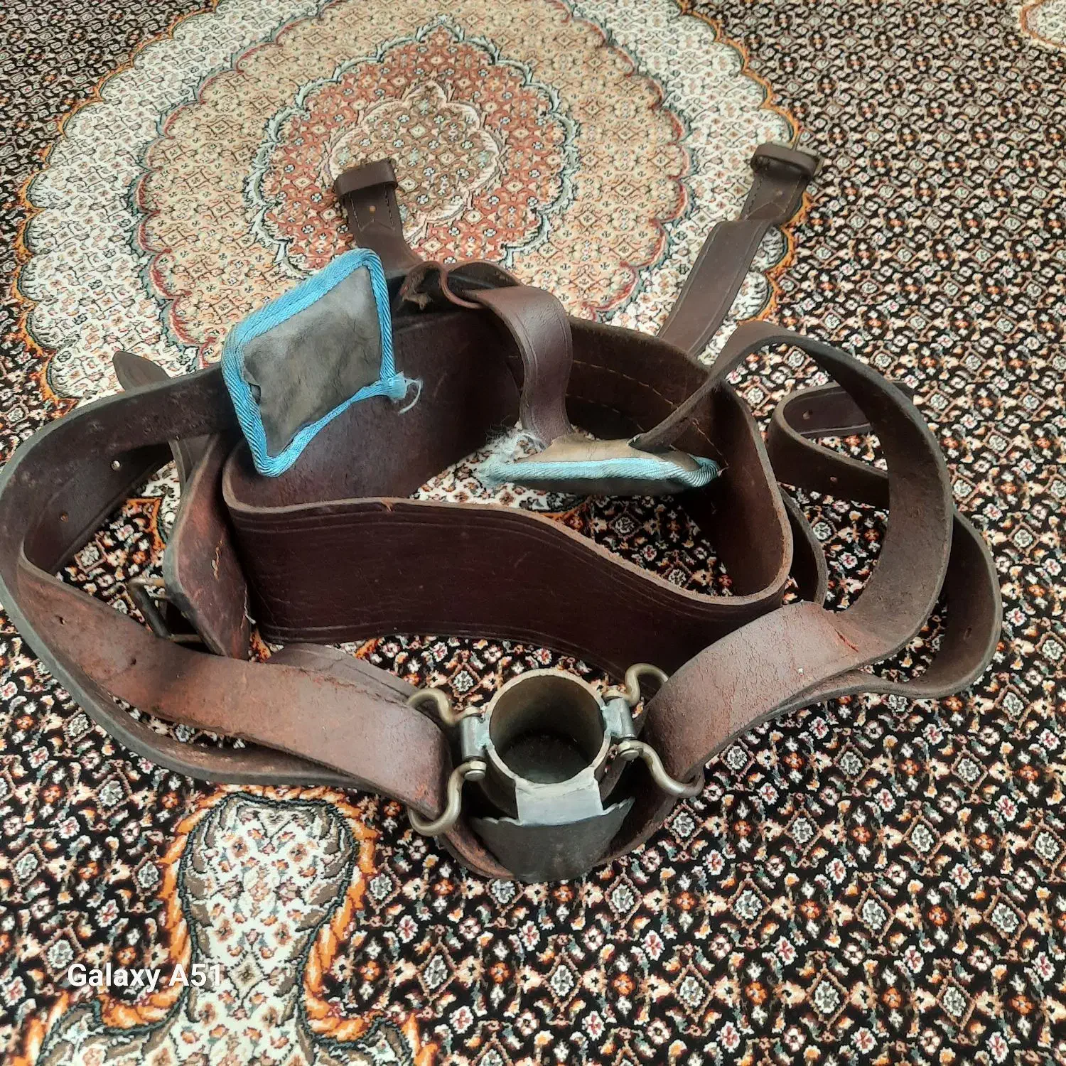 هیکلی|کیف، کفش، کمربند|تبریز, |دیوار