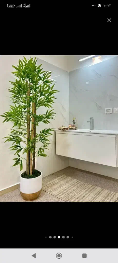 برگ بامبو بسته ۳۶ عددی و درختچه|گل مصنوعی|کرج, گلشهر|دیوار