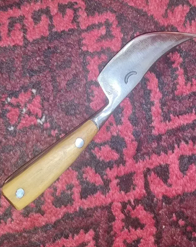 لوازم قدیمی|کلکسیون اشیاء عتیقه|مشهد, کوشش|دیوار