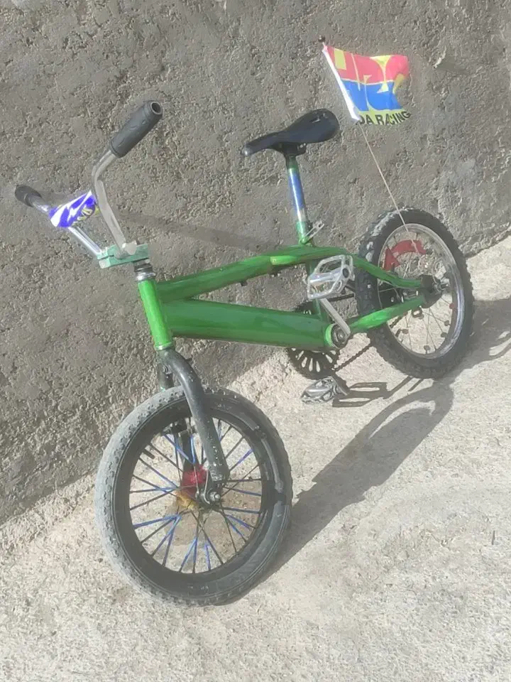 دوچرخه 16حرفه ای|دوچرخه، اسکیت، اسکوتر|بروجن, |دیوار