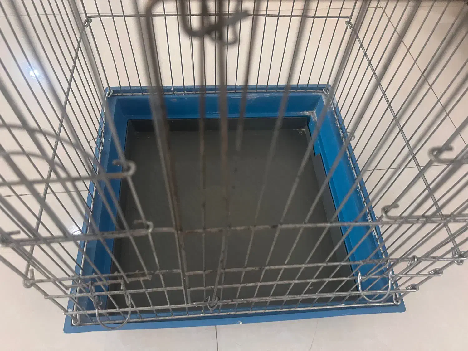 قفس پرنده|لوازم جانبی حیوانات|مشکین‌دشت, |دیوار