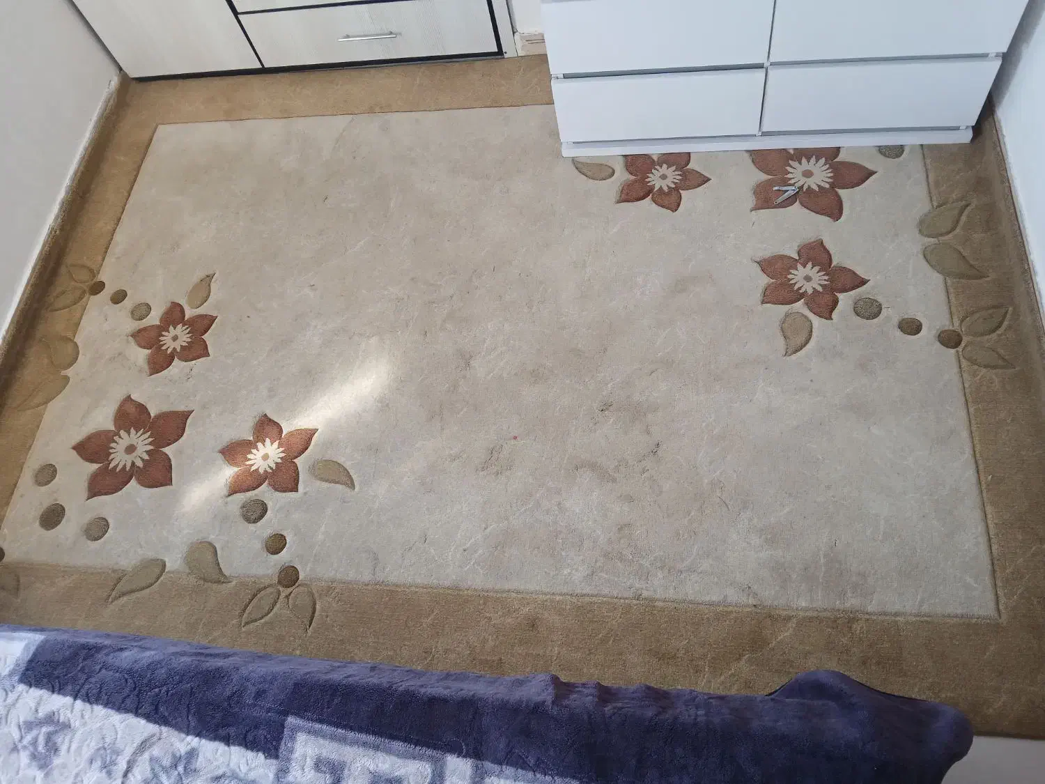 ۲ تا  گلیم فرش در حد فرش .|گلیم، جاجیم، گبه|بندرعباس, |دیوار