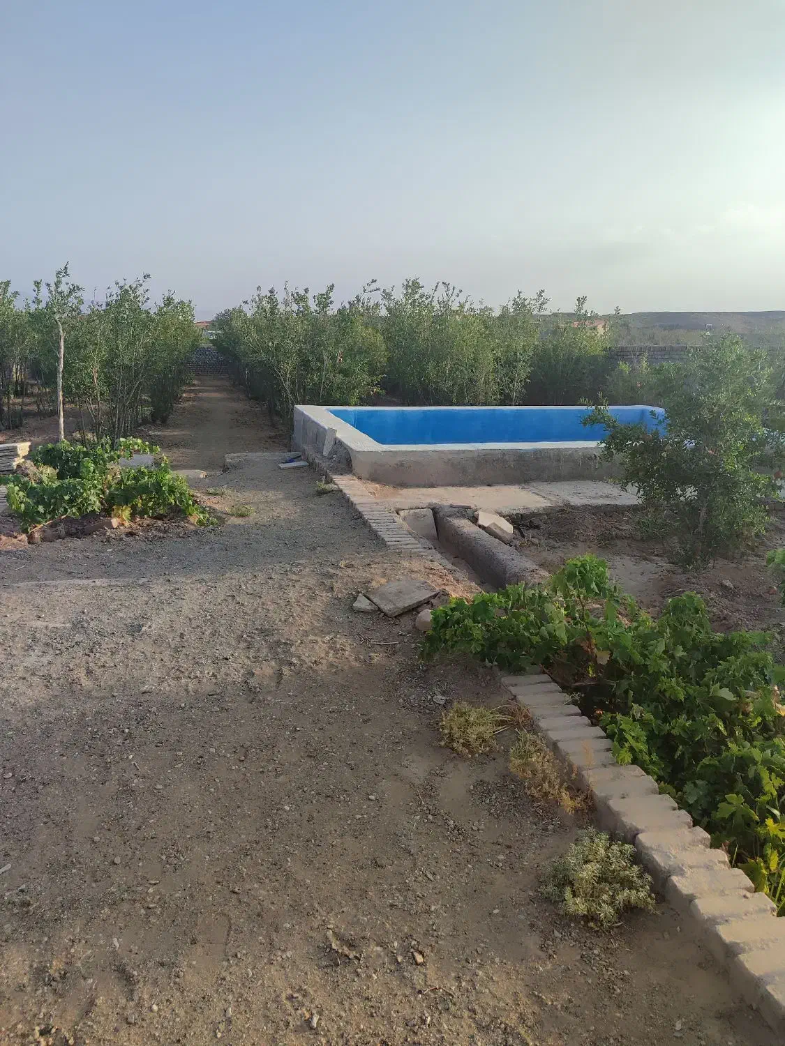 باغ اناری فروشی|فروش زمین و ملک کلنگی|سبزوار, خسروجرد|دیوار