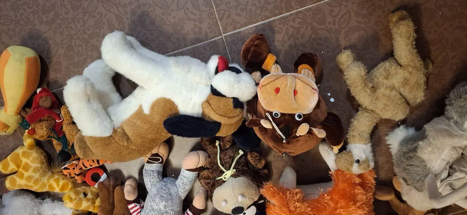 عروسک|اسباببازی|کرمان, |دیوار