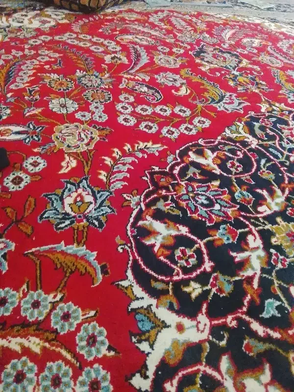 فرش|فرش|نیشابور, فضل|دیوار