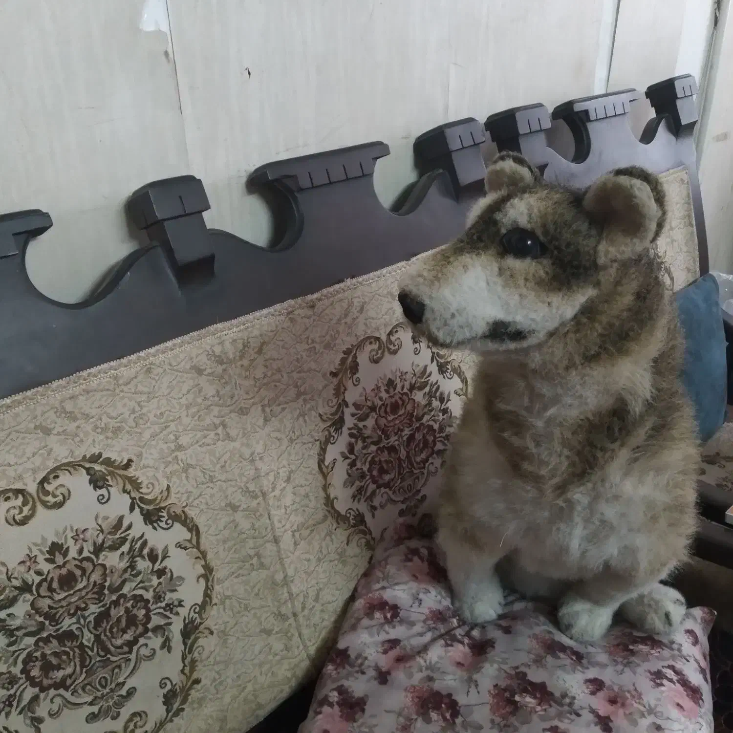 سگ هاپو|اسباب‌بازی بچه|اسلام‌شهر, مظفریه|دیوار