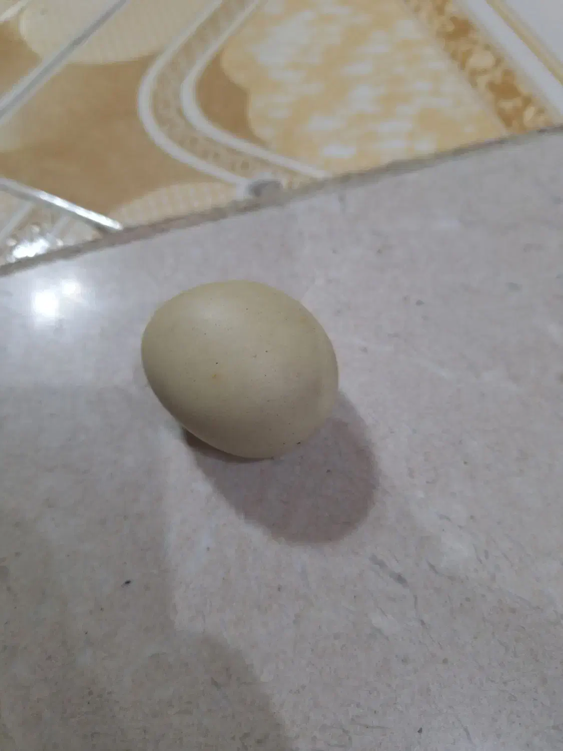 سنگ عتیقه|کلکسیون اشیاء عتیقه|حمیدیا, |دیوار