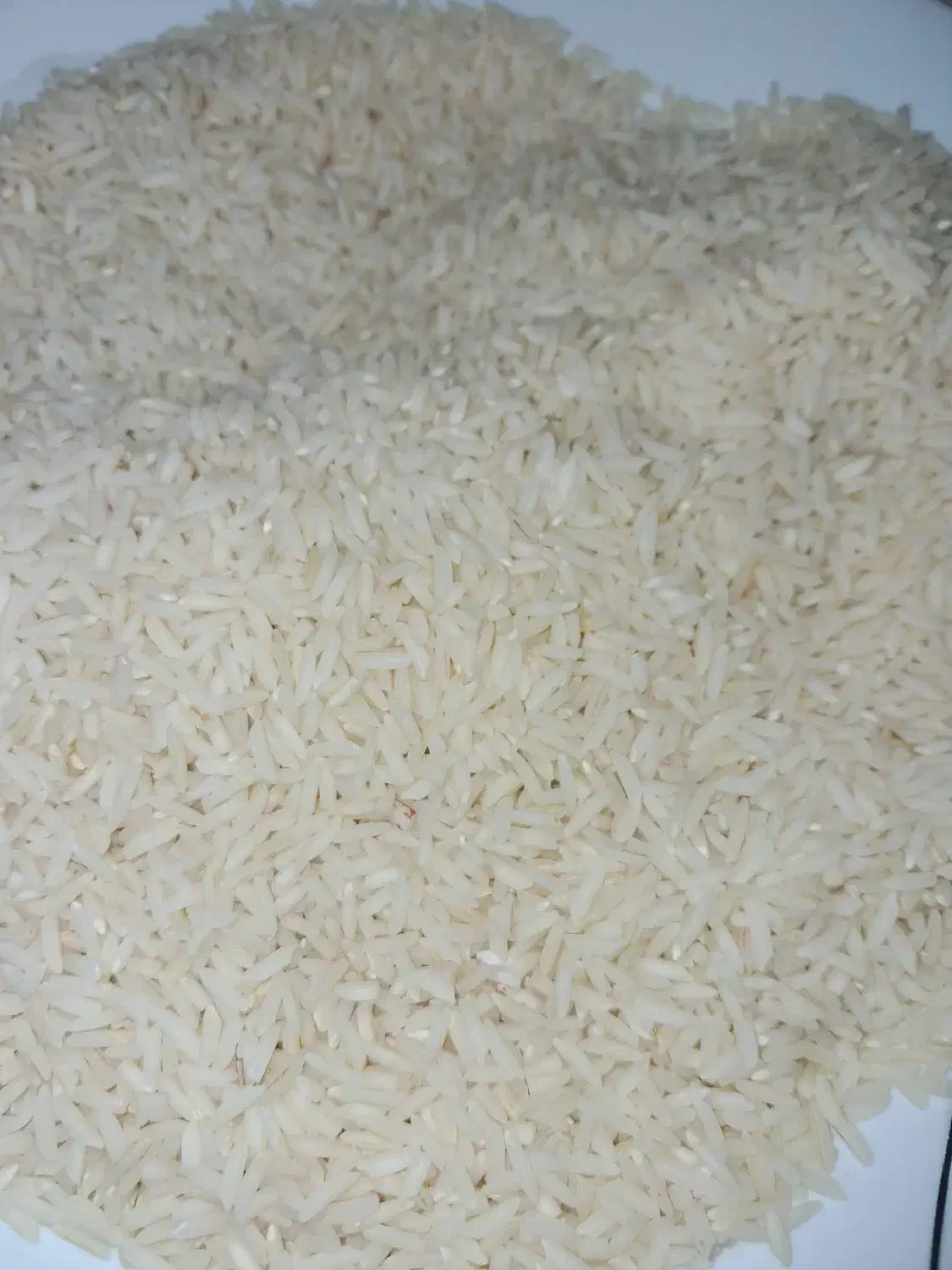 برنج هاشمی|خوردنی و آشامیدنی|رشت, رودباری|دیوار