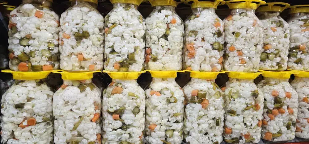 پخش  زیتون و ترشیجات و شوریجات|خوردنی و آشامیدنی|اسالم, |دیوار