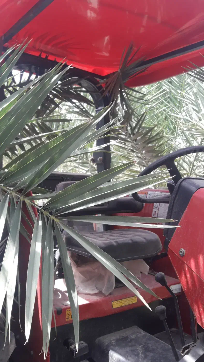 تراکتور ۴۵۷خشک|خودرو سنگین|بلوک, |دیوار