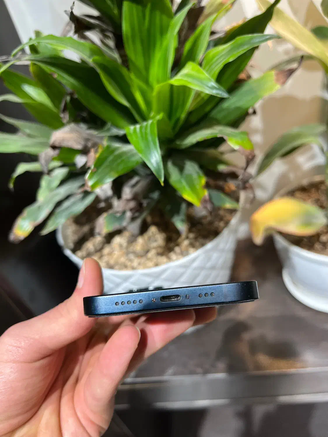 گوشی آیفون ۱۳ نرمال|موبایل|پاکدشت, پاکدشت (مامازند)|دیوار