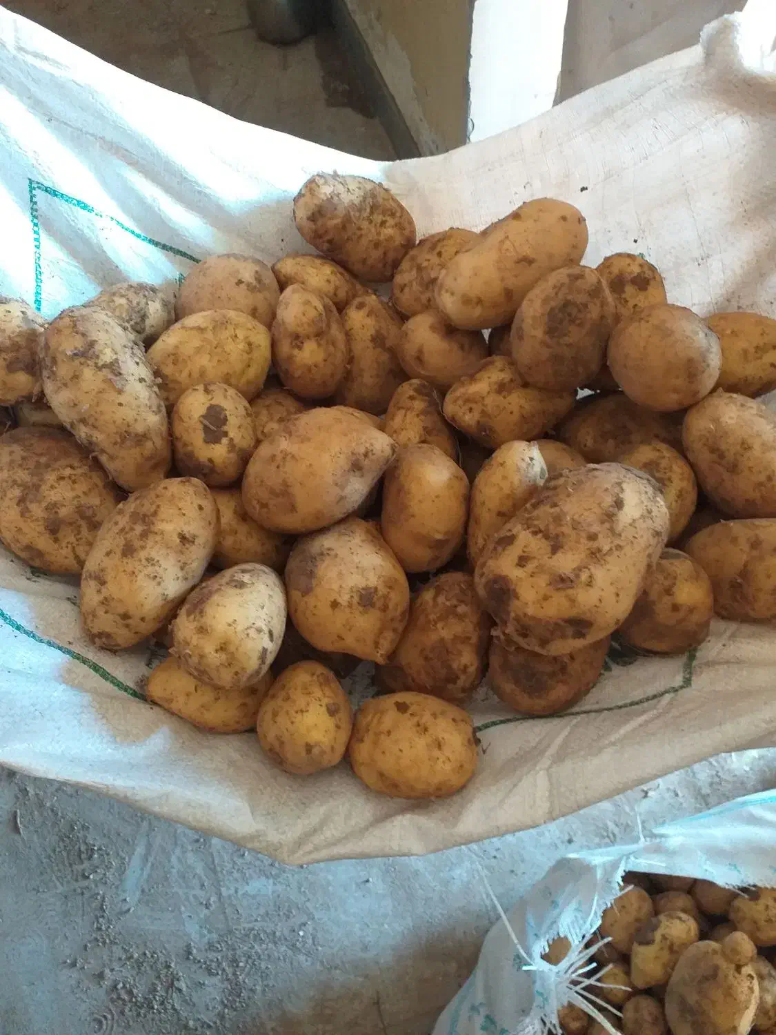 سیب زمینی جلی سوپر بار|خوردنی و آشامیدنی|دهگلان, |دیوار