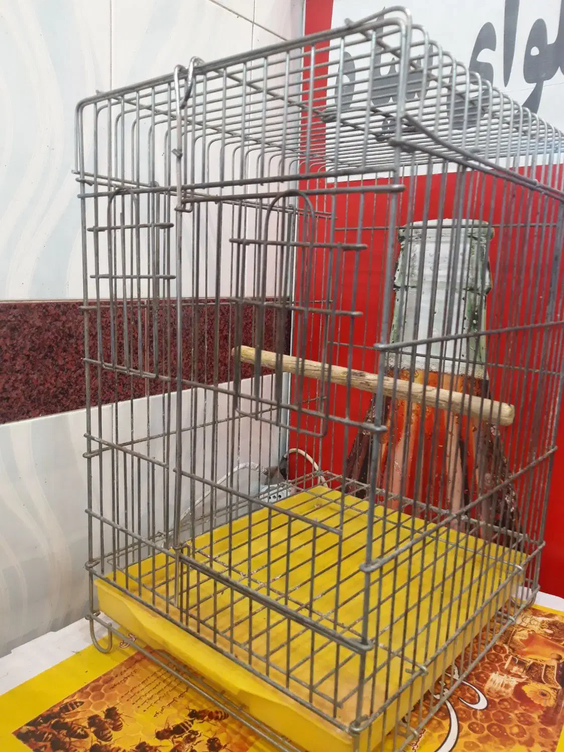 قفس طوطی بسیار سنگین صحیح سالم|لوازم جانبی حیوانات|اردبیل, |دیوار