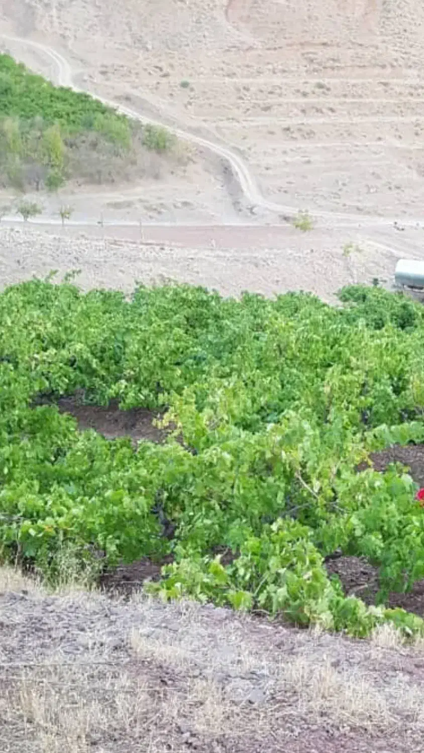 هرس.سمپاشی اصلاح خاک|خدمات باغبانی و درختکاری|نیشابور, مدرس|دیوار