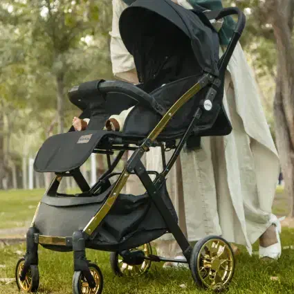 کالسکه برند ریچ کیدز بیبی استار 5 پرو|کالسکه و لوازم جانبی|بندر انزلی, کلیور|دیوار