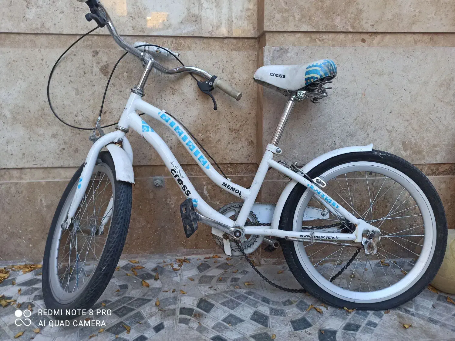 دوچرخه 20|دوچرخه، اسکیت، اسکوتر|شیراز, محراب|دیوار