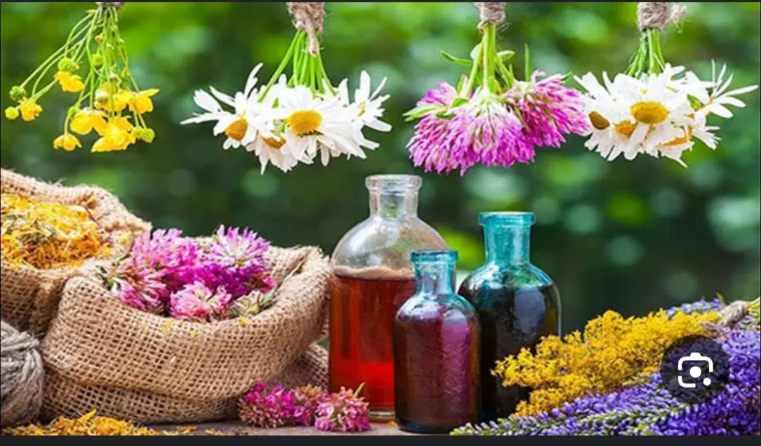 آموزش طب سنتی|فعالیت داوطلبانه|شیراز, آزادگان|دیوار