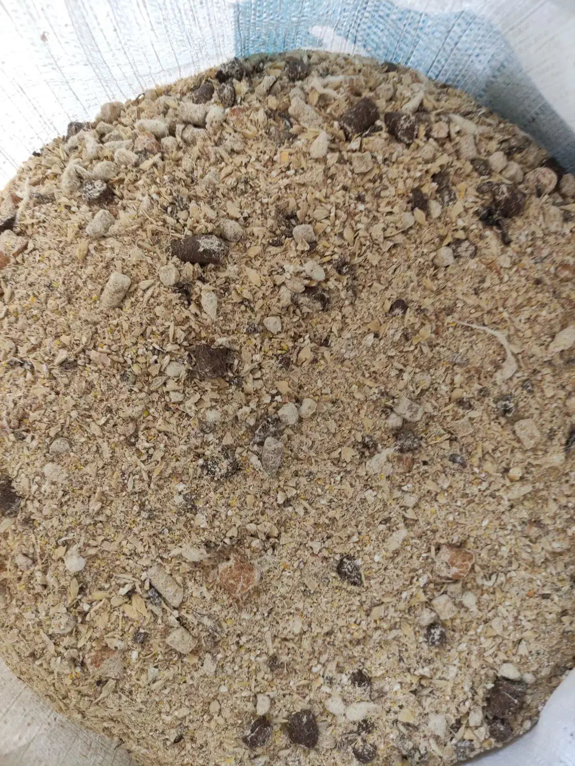 خوراک دام|حیوانات مزرعه|نکا, |دیوار