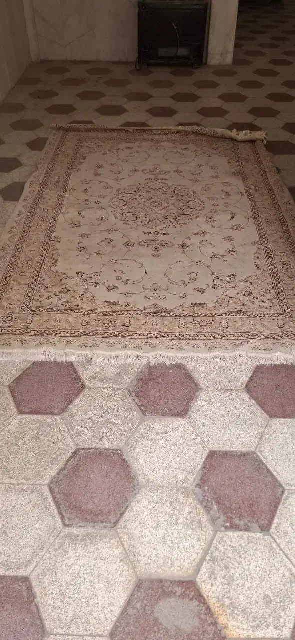 فرش ۶ متری|فرش|مشهد, امام رضا (ع)|دیوار